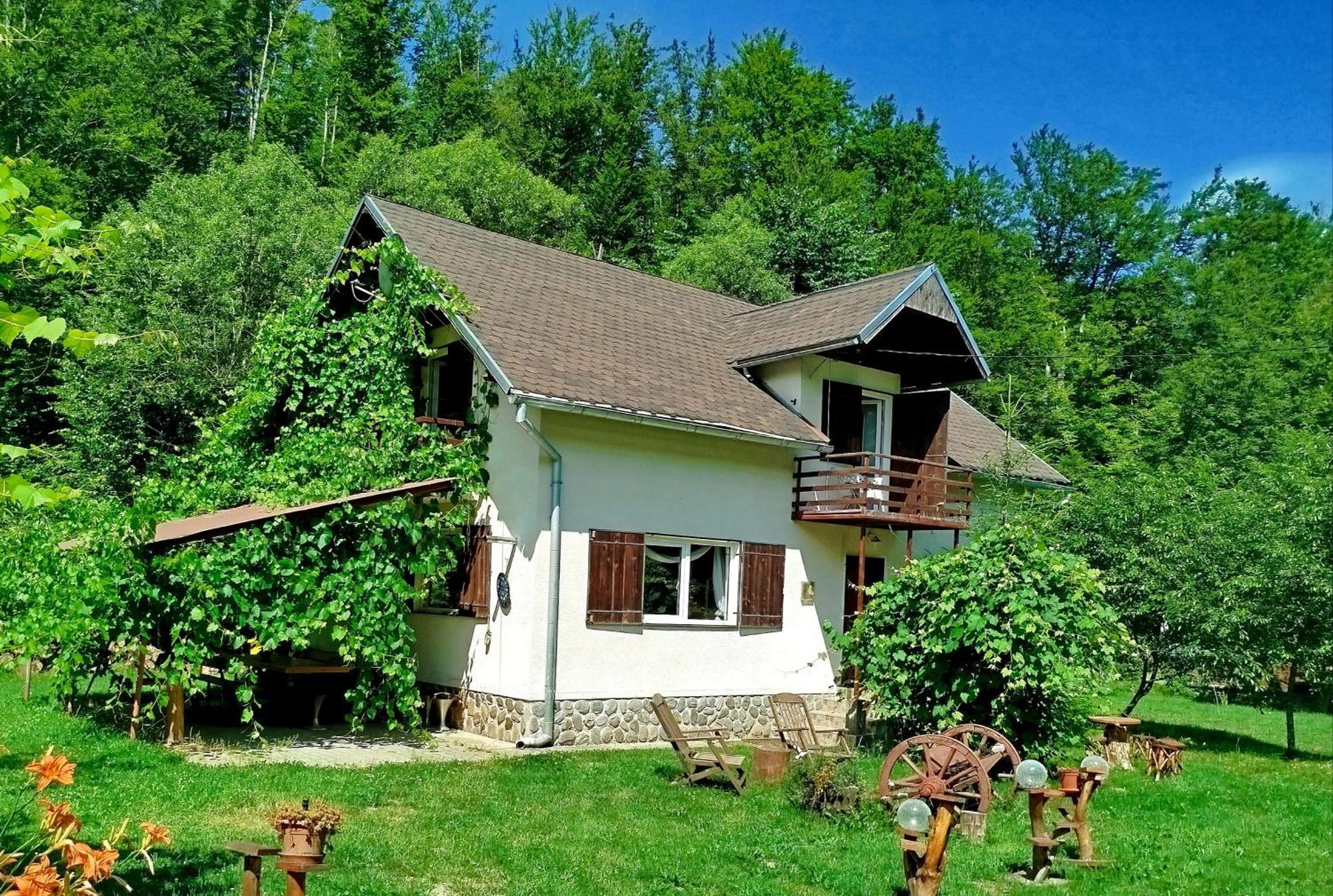 Complex Adela Transfagarasan Villa