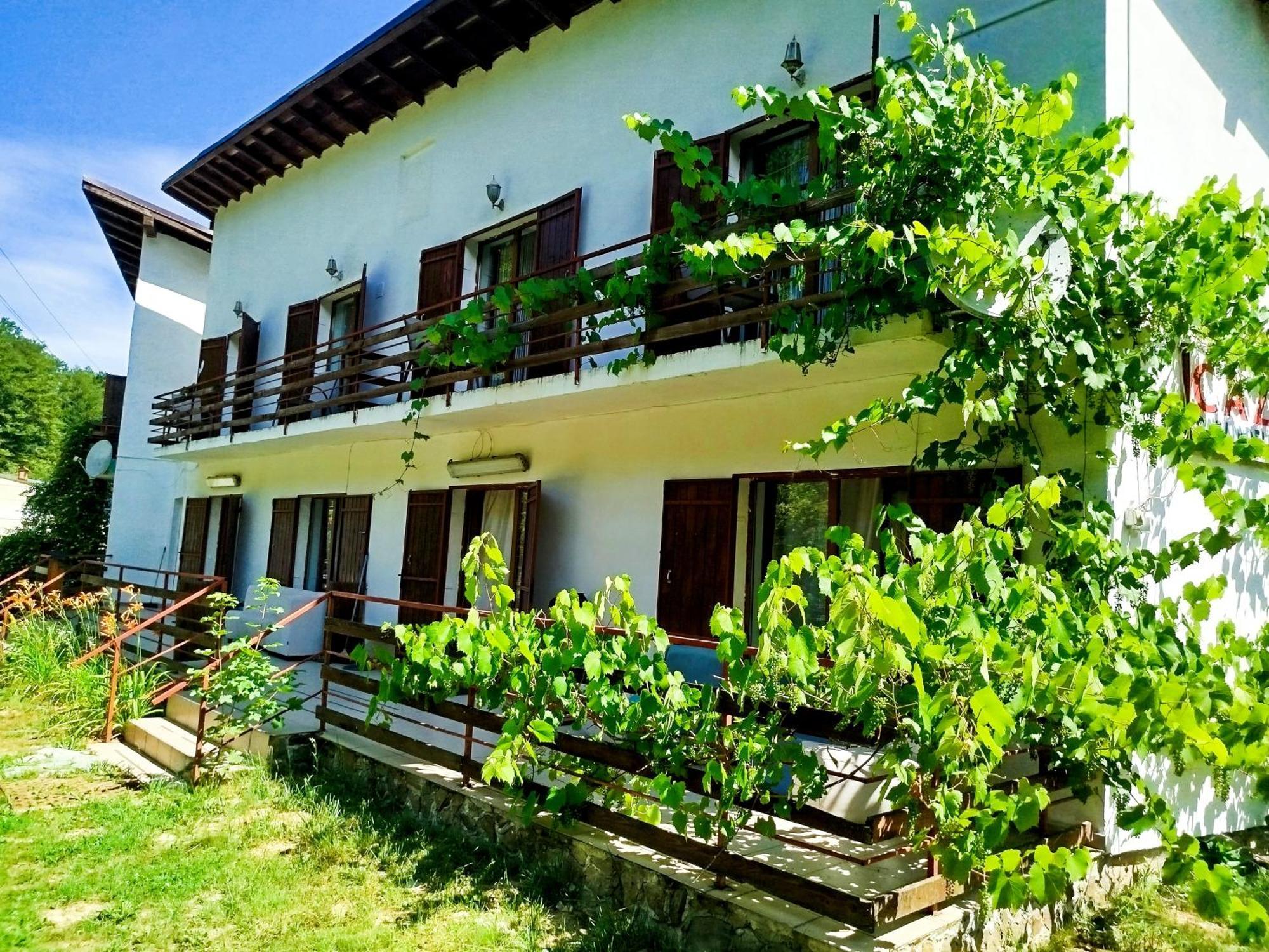 Complex Adela Transfagarasan Villa