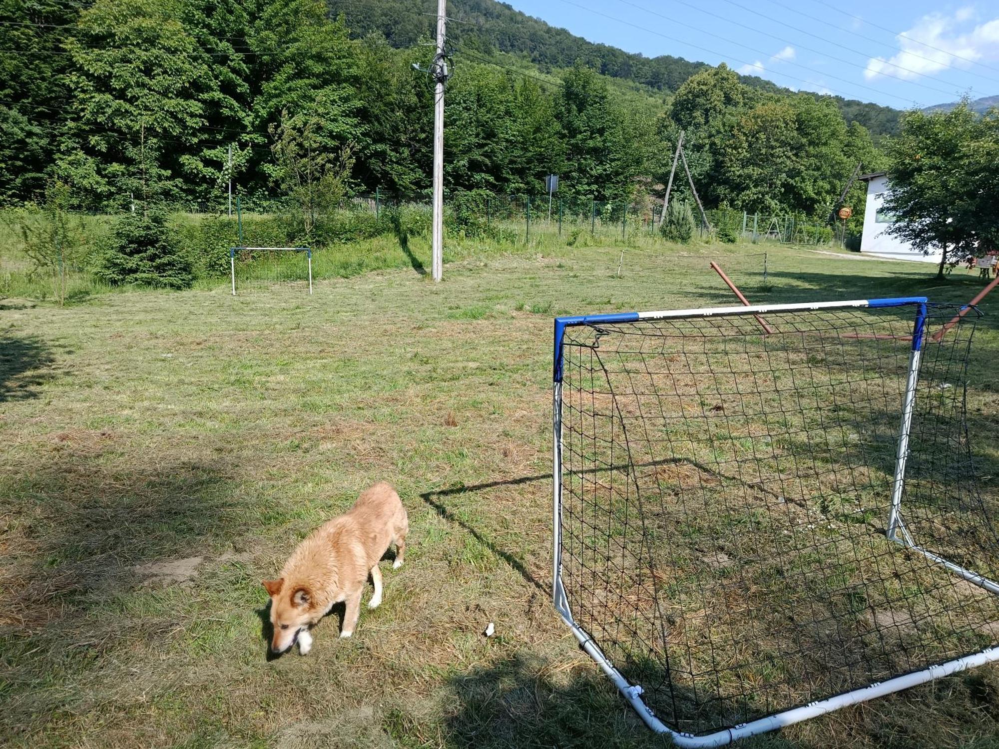 Complex Adela Transfagarasan Villa Cîrţişoara